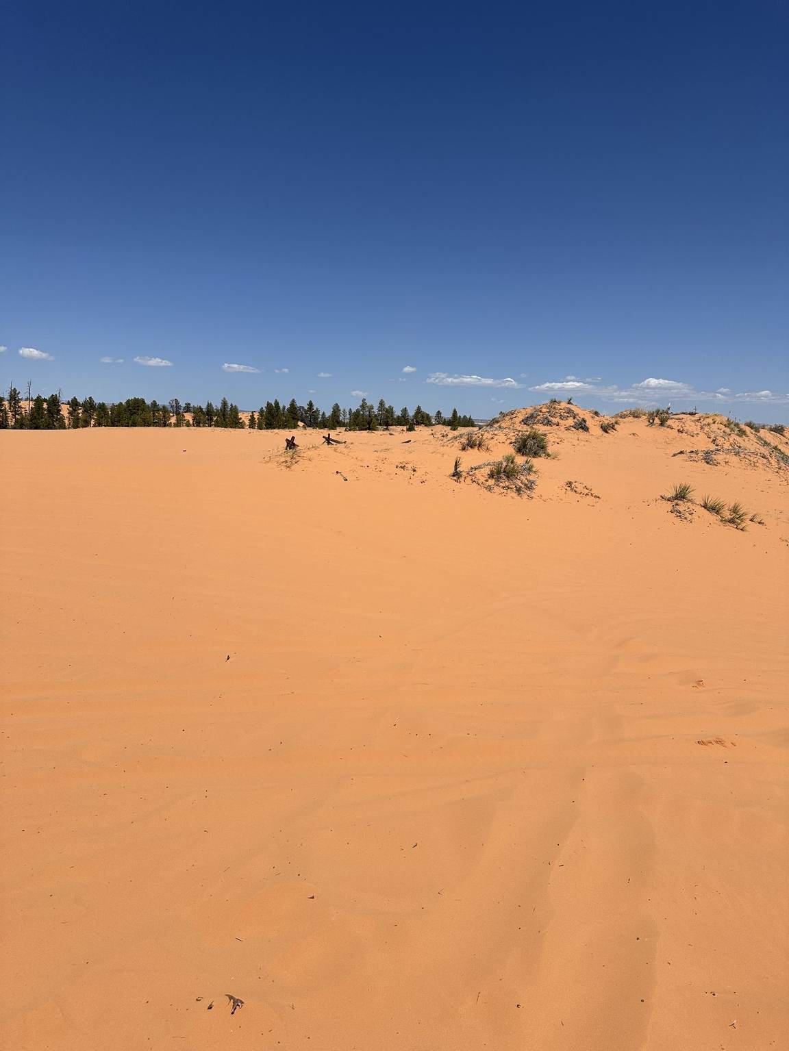 Corral Pink Dunes, in the Wind — photo 3